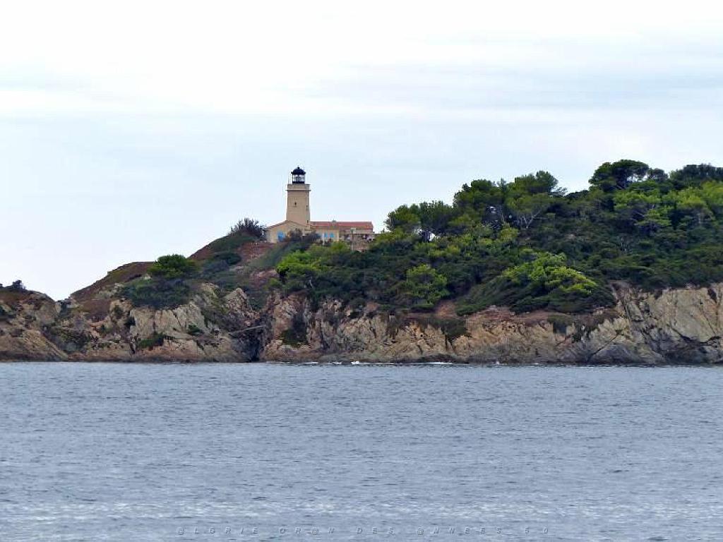 183 D18 PRESQU ILE DE GIENS 1_000011.jpg